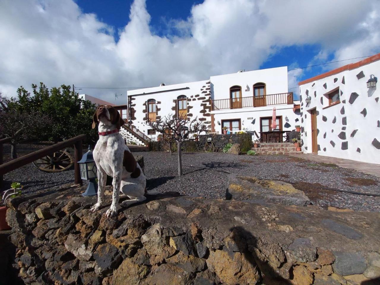 Las Casas Del Abuelito Julian & La Abuela Leonor Isora Exterior photo